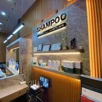 Shampoo International Hairstylists