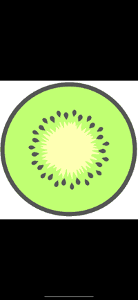 Kiwi studio