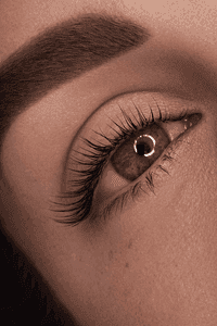 lash_gallery 