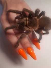 Beautiful nails
