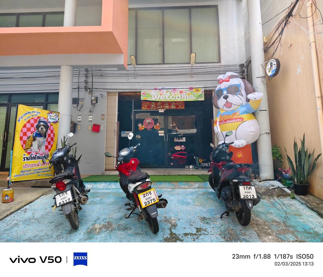 สตูดิโอคาเฟ่สำหรับคนรักสัตว์เลี้ยง โรงเรียนสอนเต้นและคอร์สเรียนดีเจระดับมืออาชีพ
