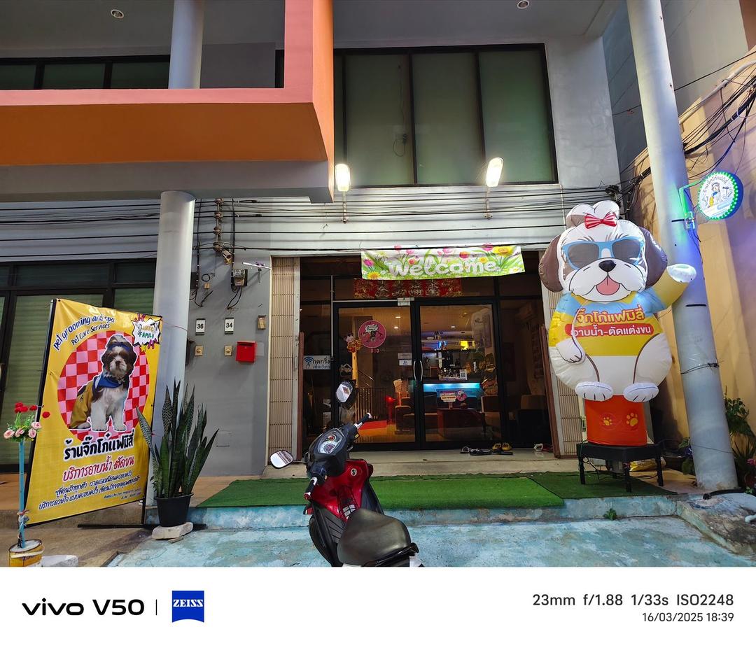 สตูดิโอคาเฟ่สำหรับคนรักสัตว์เลี้ยง โรงเรียนสอนเต้นและคอร์สเรียนดีเจระดับมืออาชีพ
